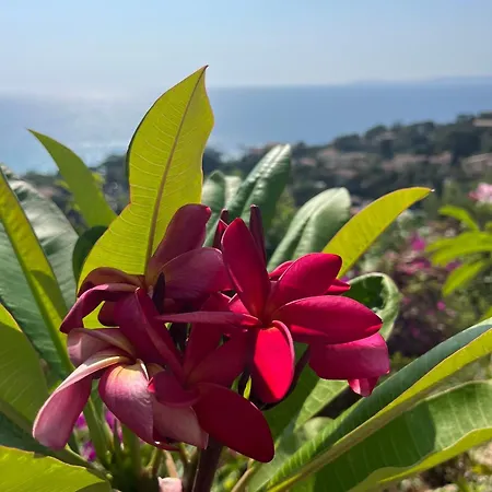 Гостьовий будинок Saint Clair, La A Pied