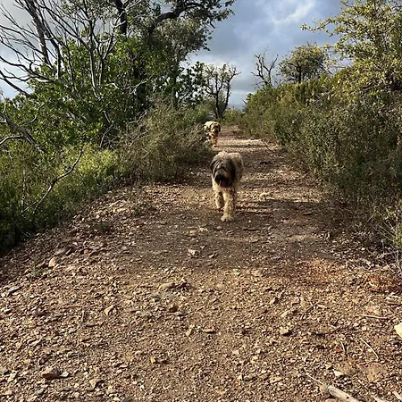 Saint Clair, La A Pied 3*