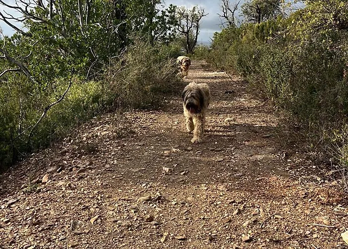 Saint Clair, La A Pied 4*