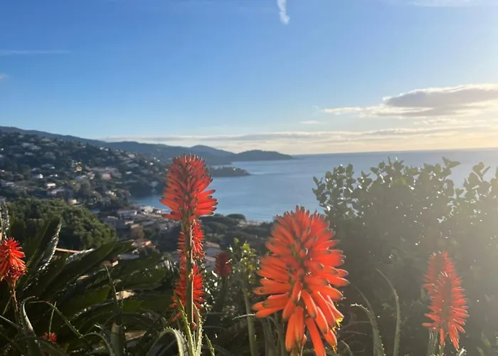 Konukevi Saint Clair, La A Pied