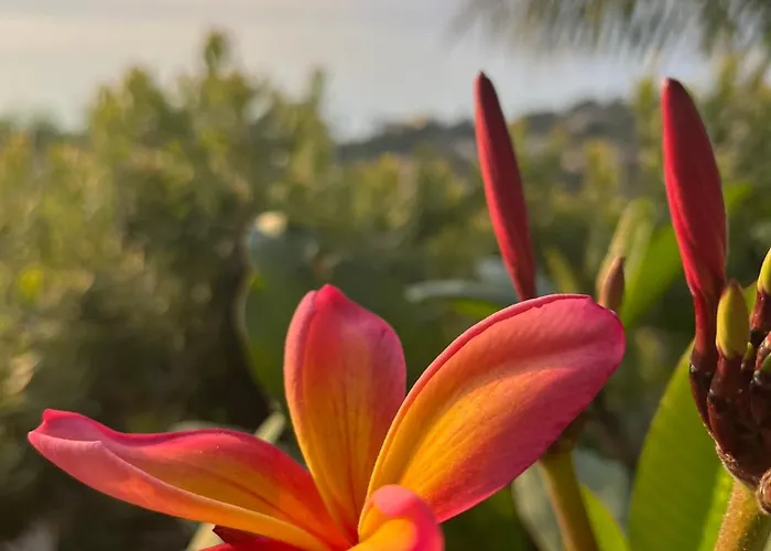 Konukevi Saint Clair, La A Pied Le Lavandou