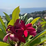 Guest house Saint Clair, La A Pied