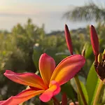 Guest house Saint Clair, La A Pied Le Lavandou