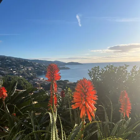 Vendégház Saint Clair, La A Pied