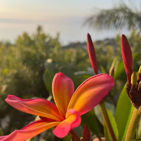 Vendégház Saint Clair, La A Pied Le Lavandou