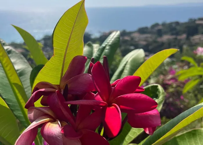 Pensionat Saint Clair, La A Pied